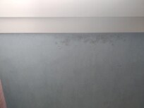 Traces d'humidité, de moisissures