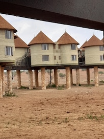 Salt lick rooms