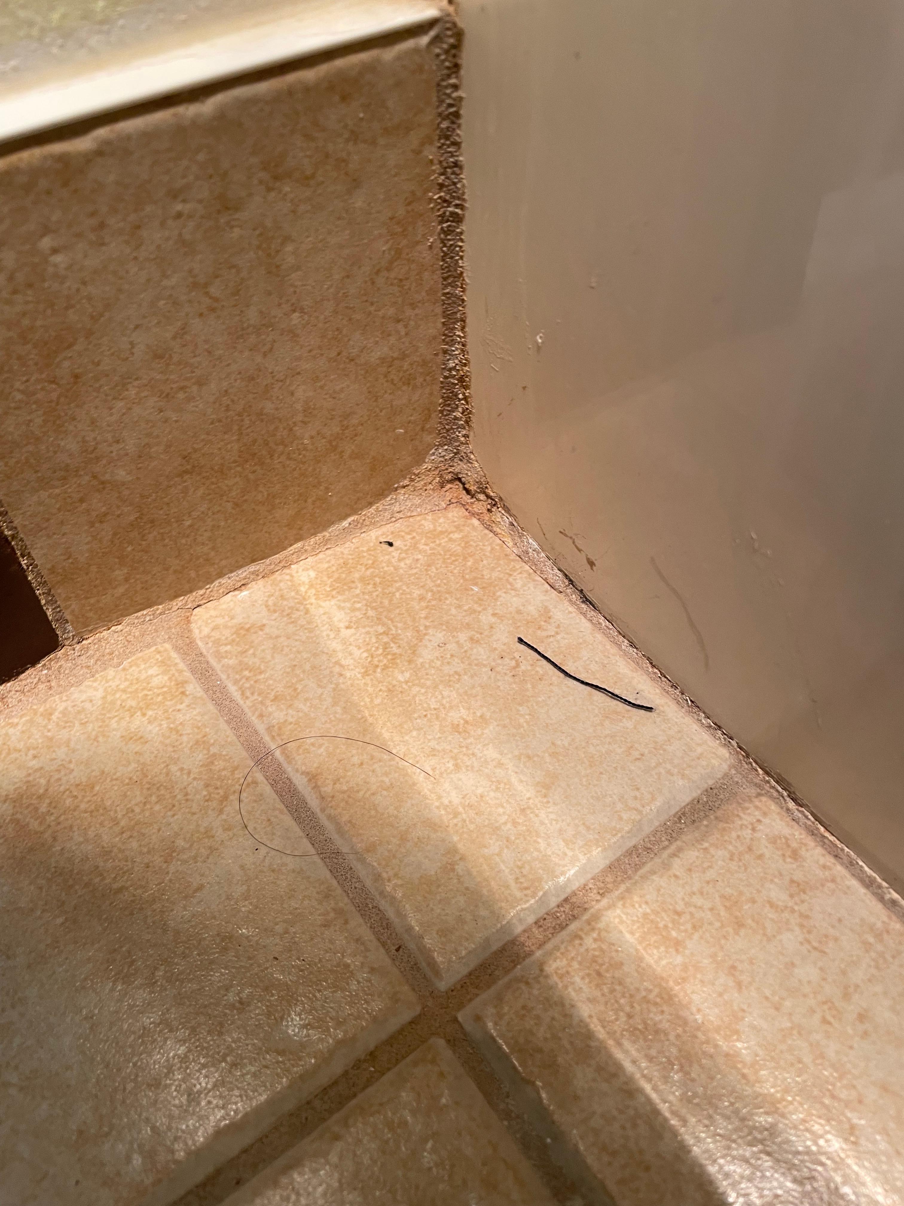 Dirt and hair in bathroom by tub