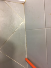 Moldy bathroom tiles