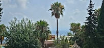 View from balcony