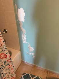 Rust, mildew, dirty and pealing walls in the bathrooms