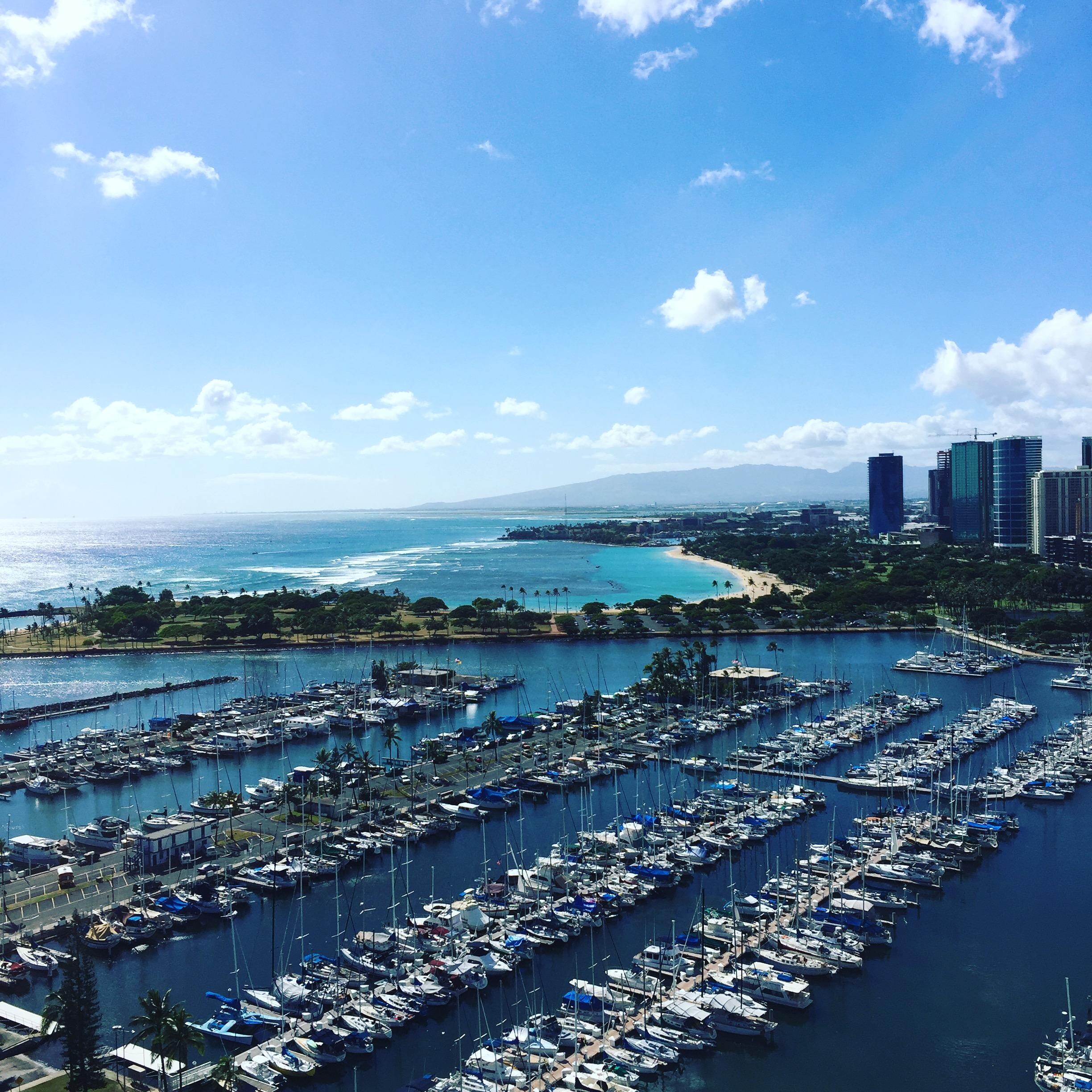 Wow. 24th Floor Room View.