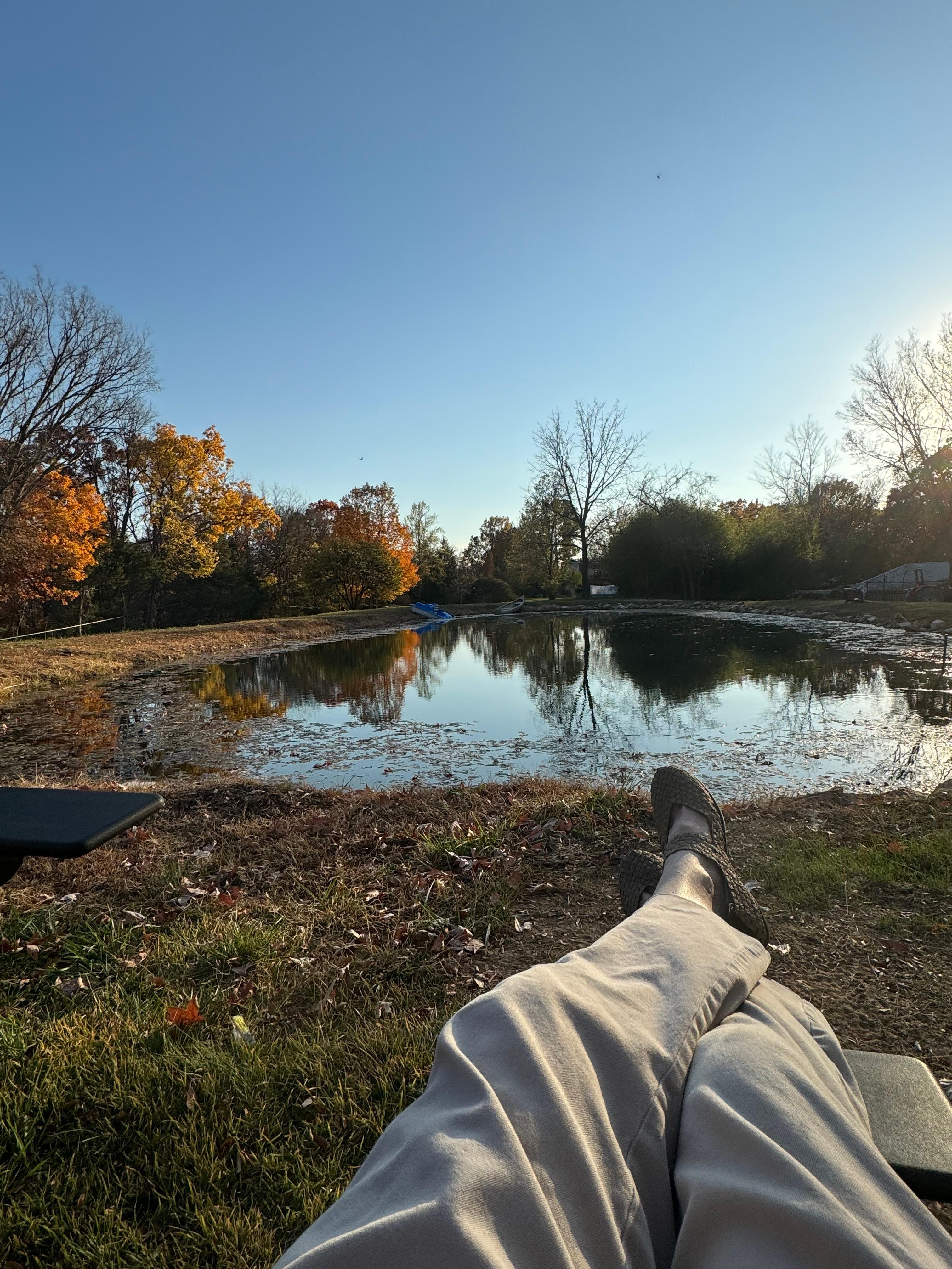 On a swing by the pond watching the hawks drift by overhead.