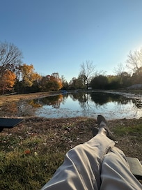 On a swing by the pond watching the hawks drift by overhead.