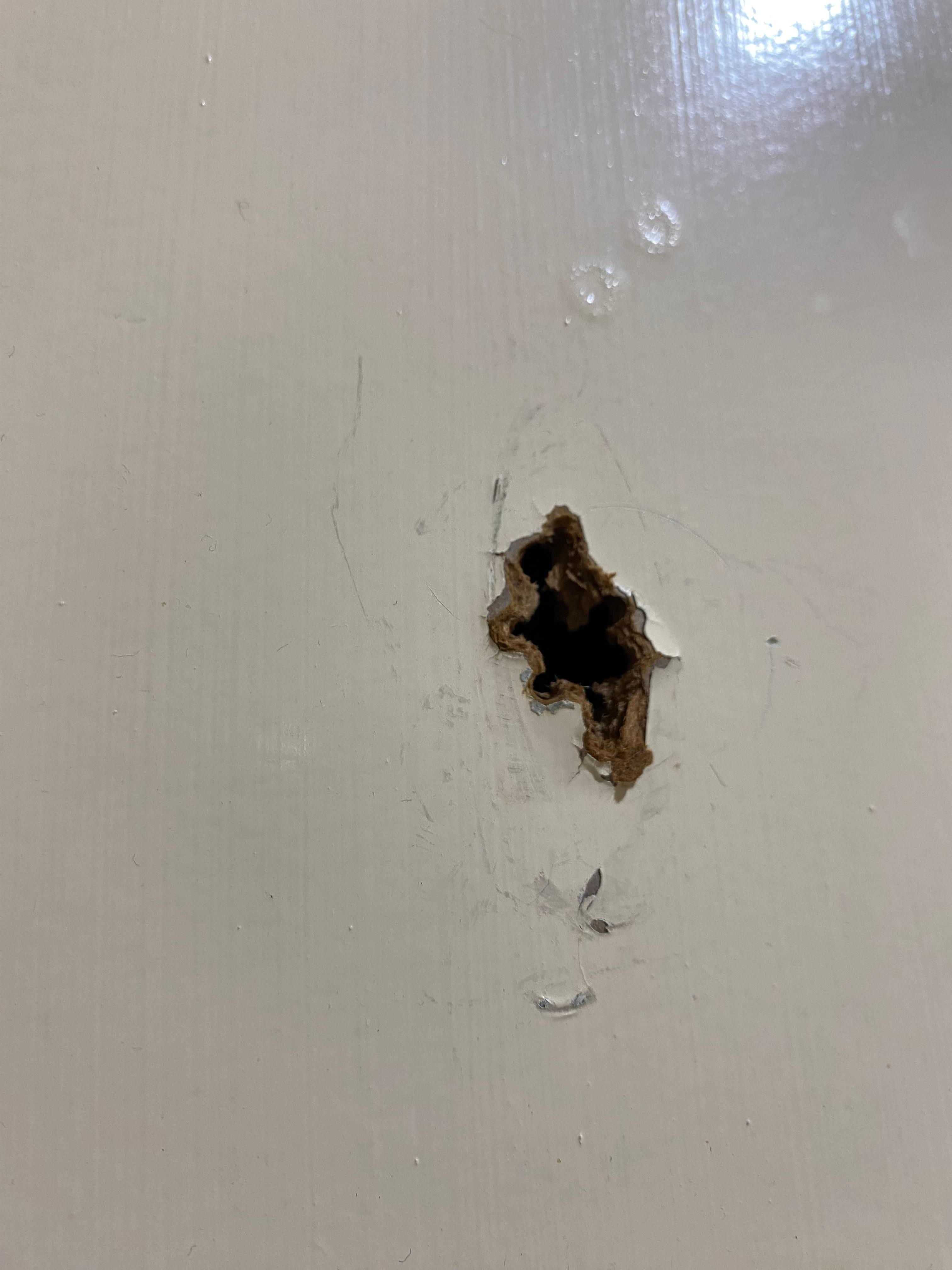 Hole in bathroom door 