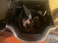 Mold in coffee maker