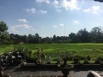 View of the rice fields from our terrace