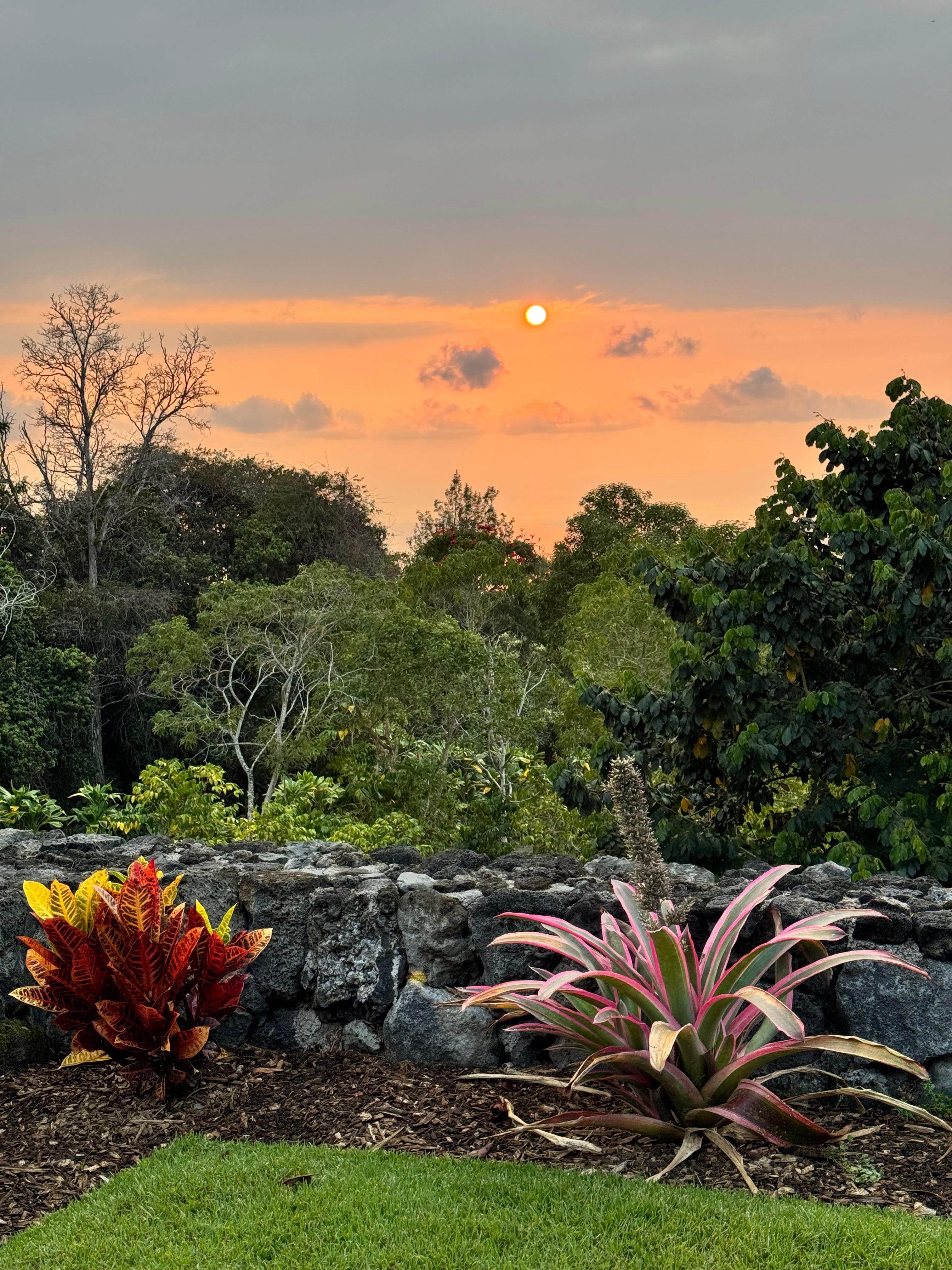 Sunset from the lawn