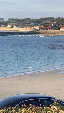 Imperial hotel restaurant view