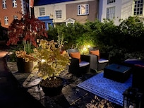 Evening garden