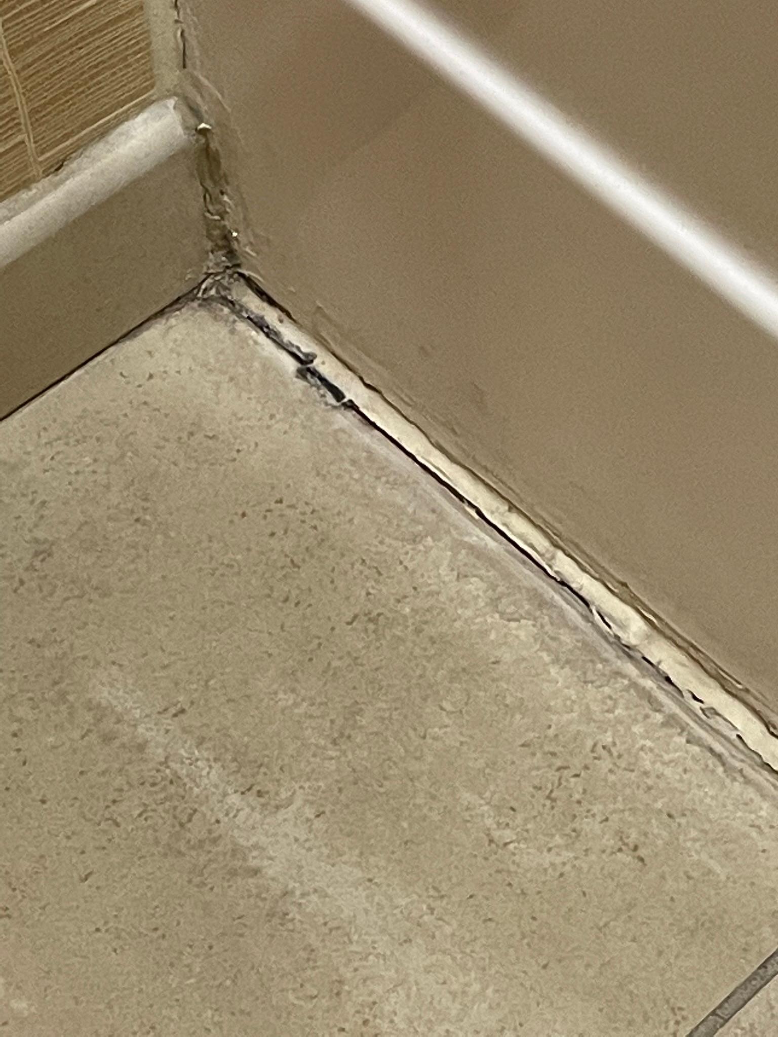 Mold in the bathroom