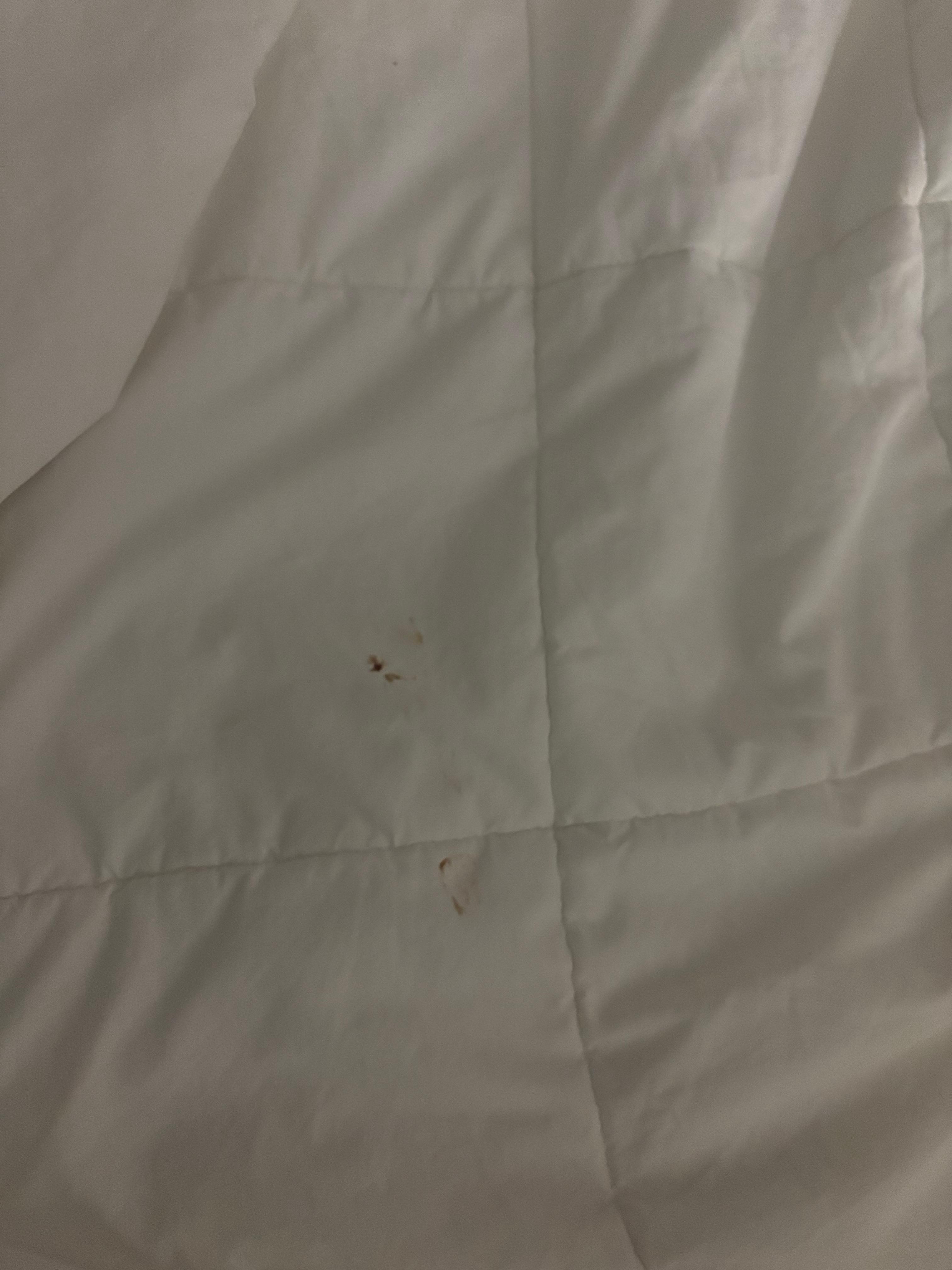 Stain on comforter