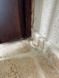 Ragnatele finestra bagno