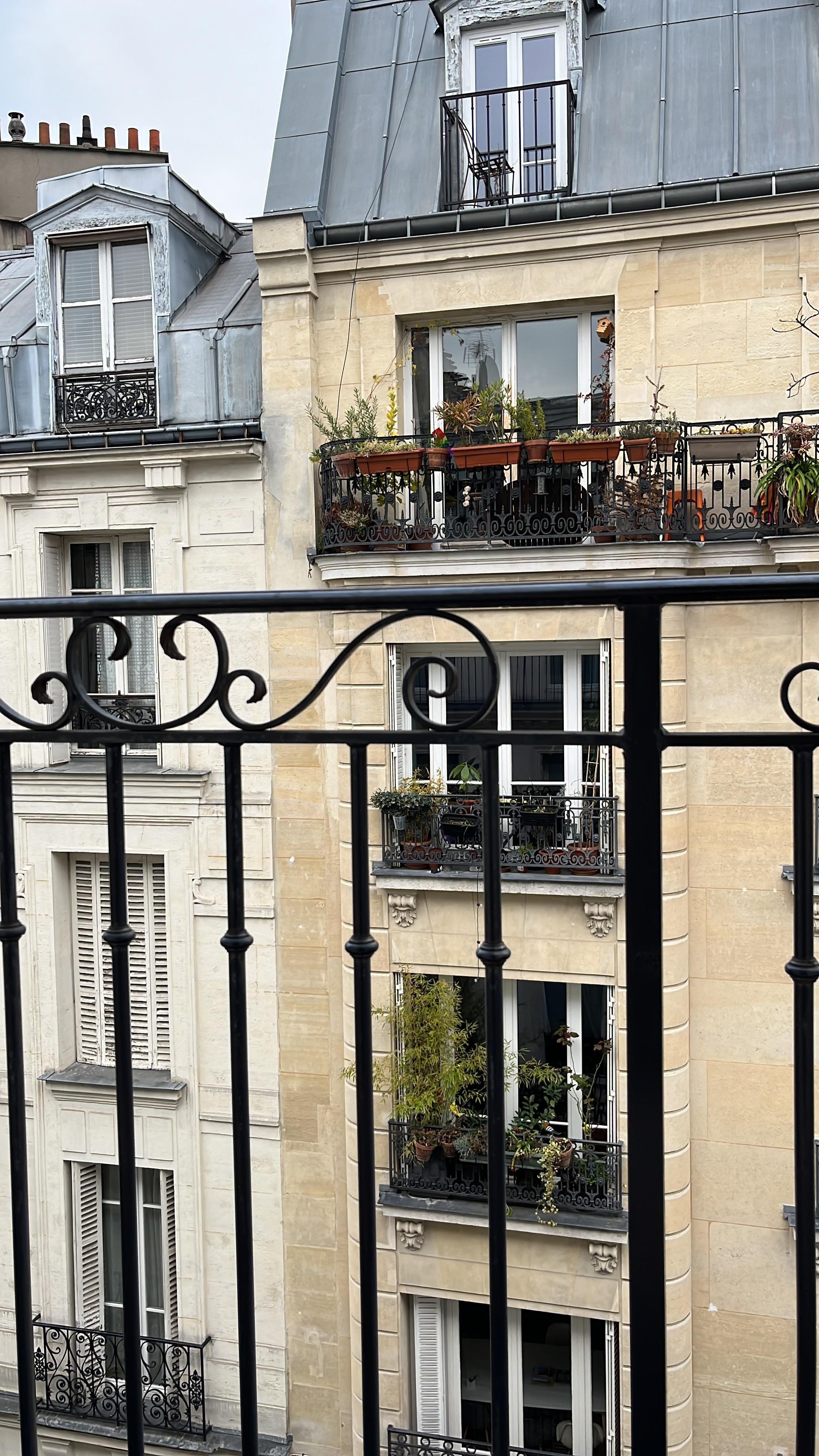 Photo of view from window 