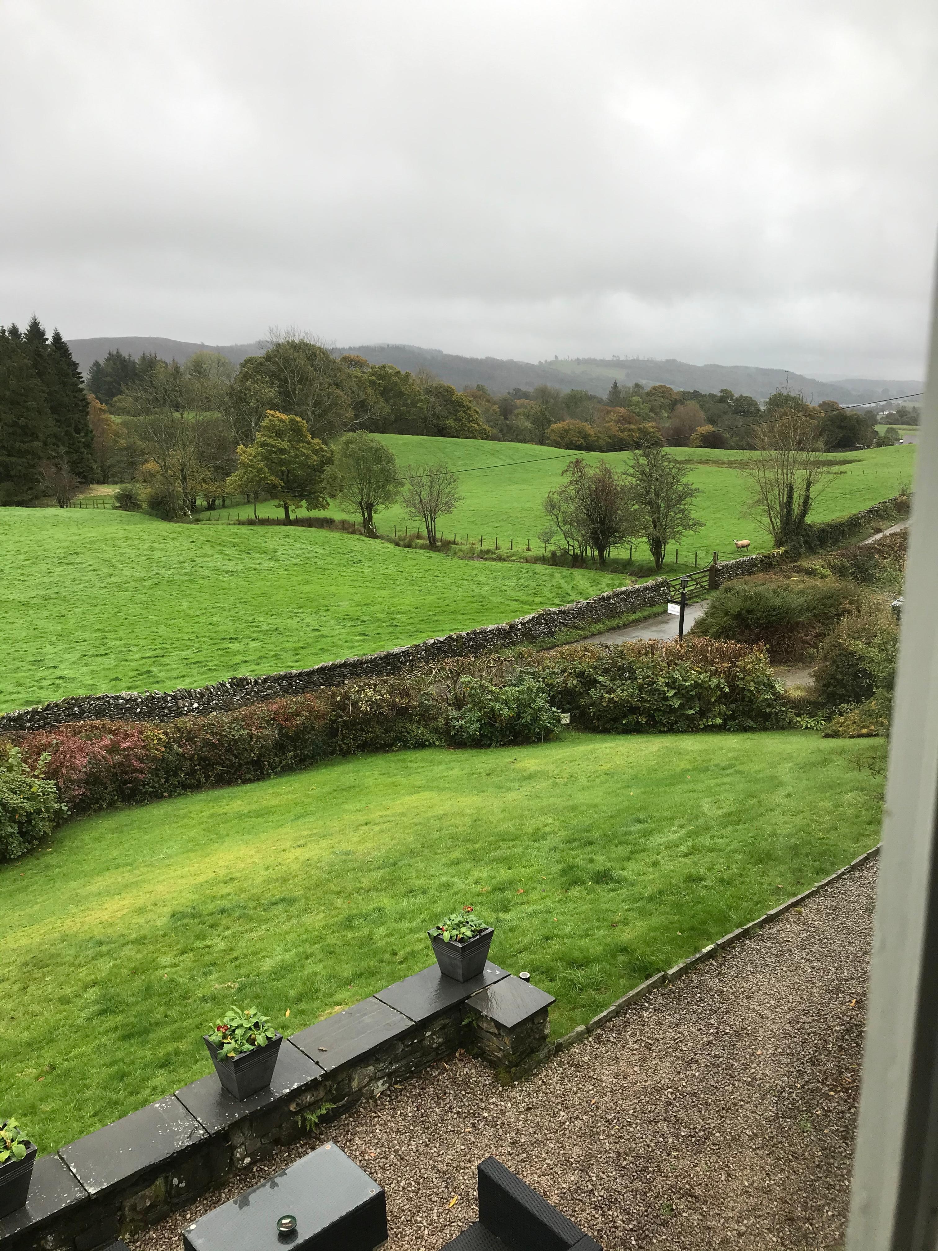 View from our bedroom