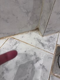 Nasty hairy and dirt bathroom floors