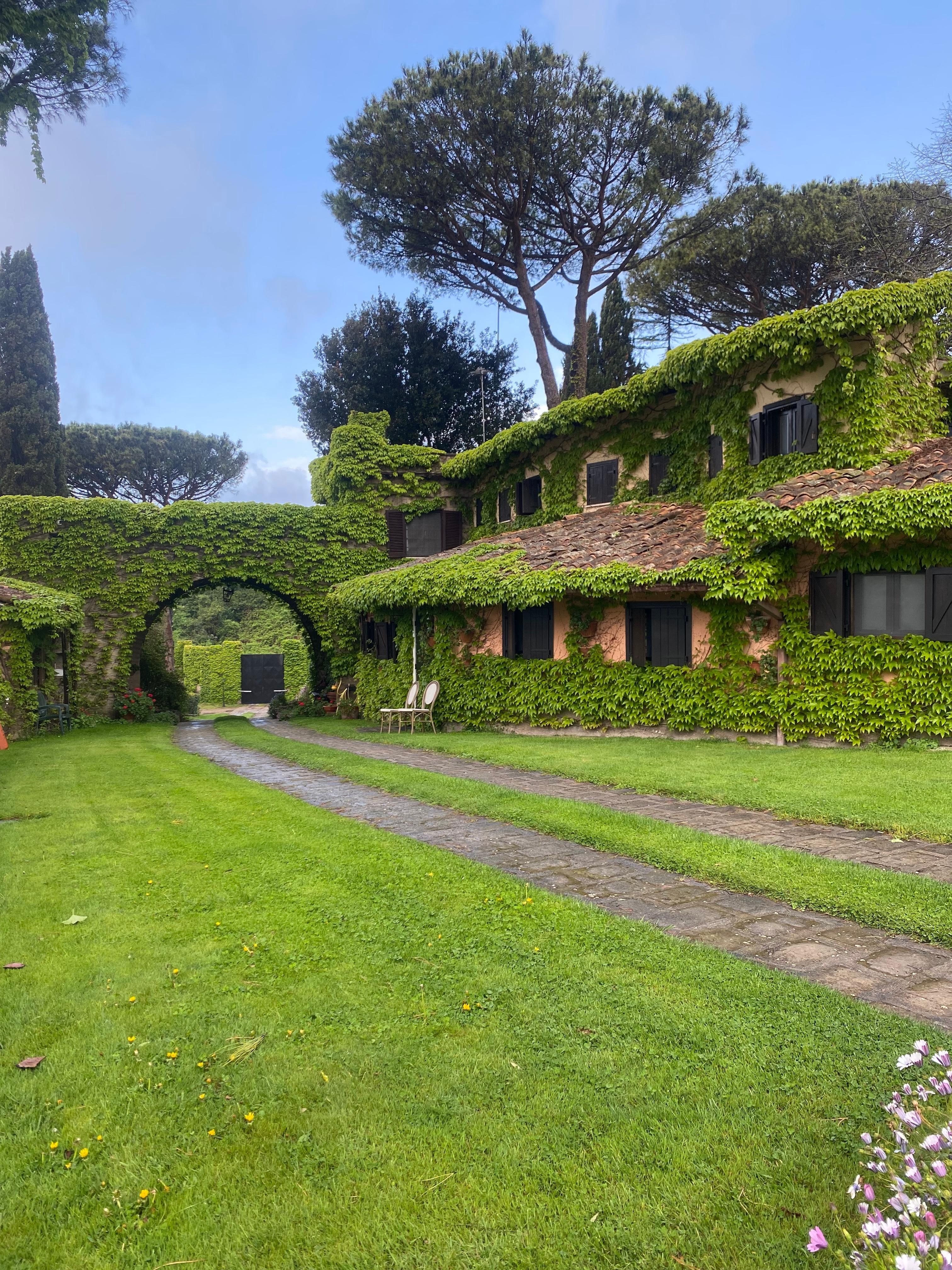 The grounds