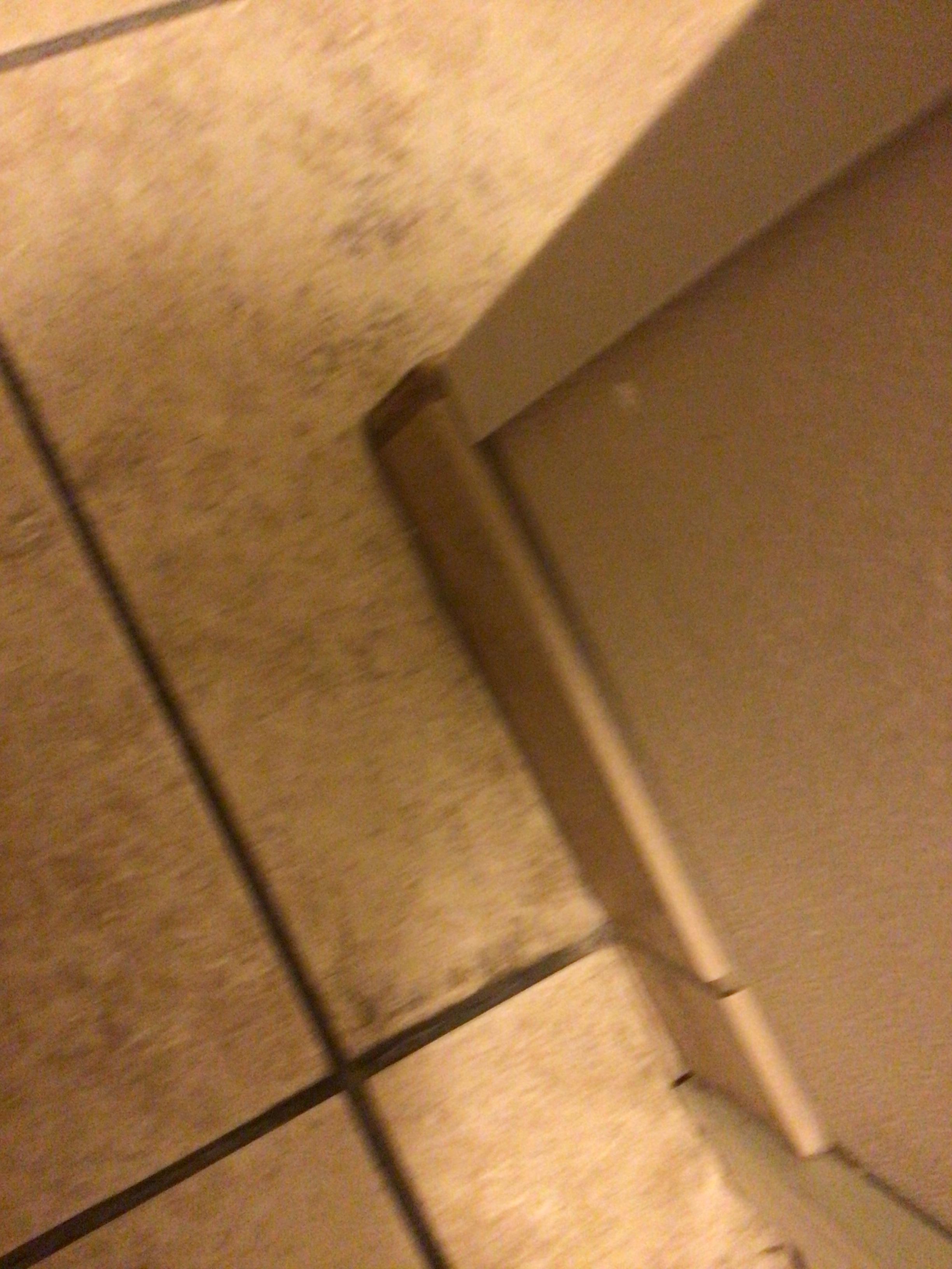 Bathroom floor