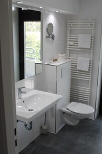 Hotel Rheingarten, bathroom