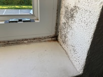 Black mold
