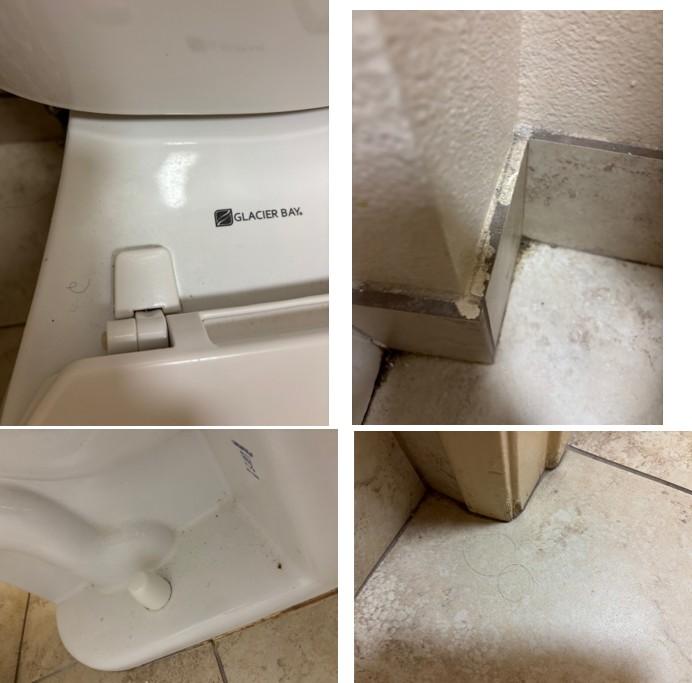 Bathroom - dirt, hairs, mold on floor, toilet