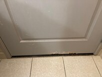 Chewed up interior bathroom door