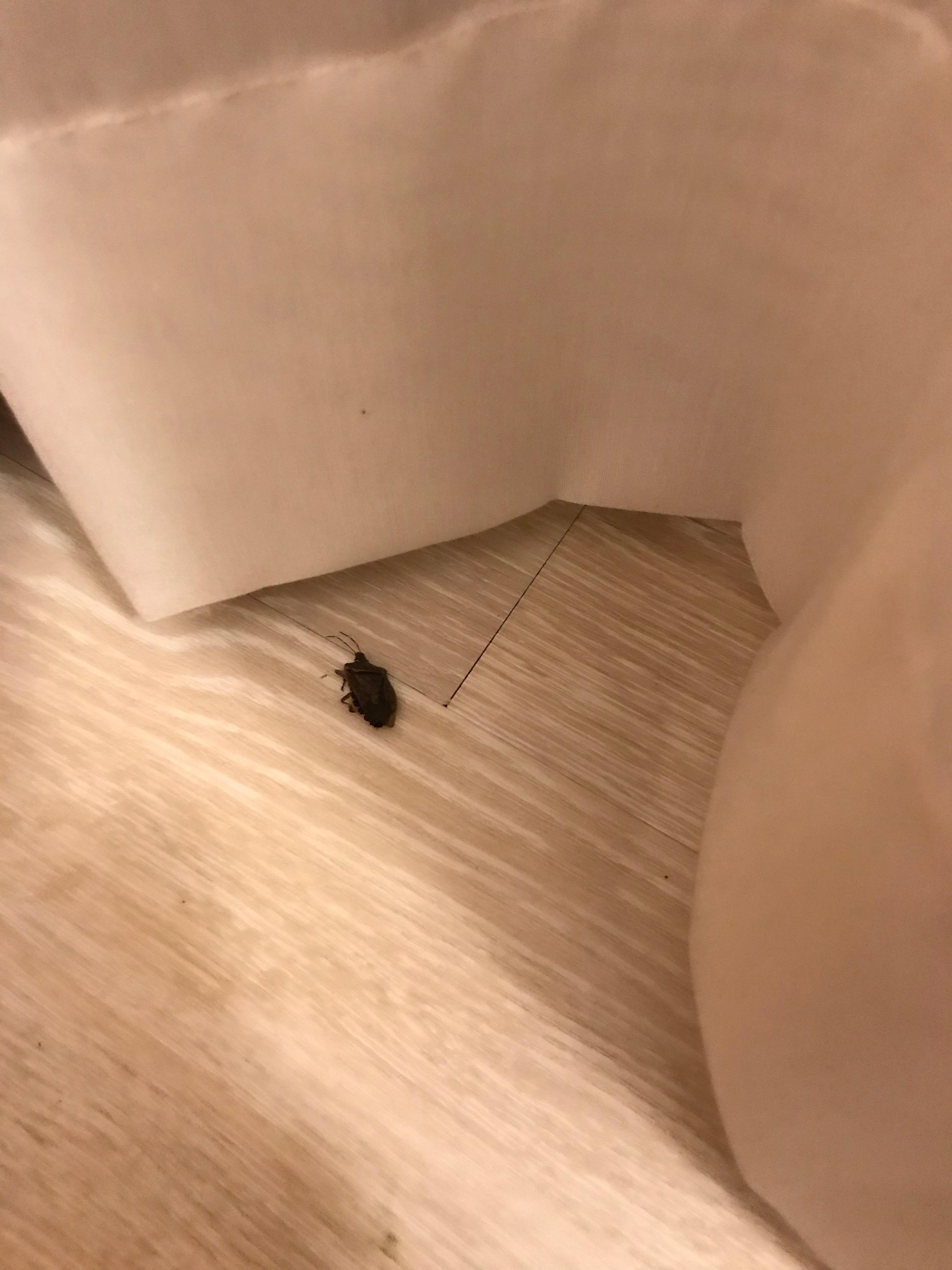 I wasn’t on vacation alone after all.