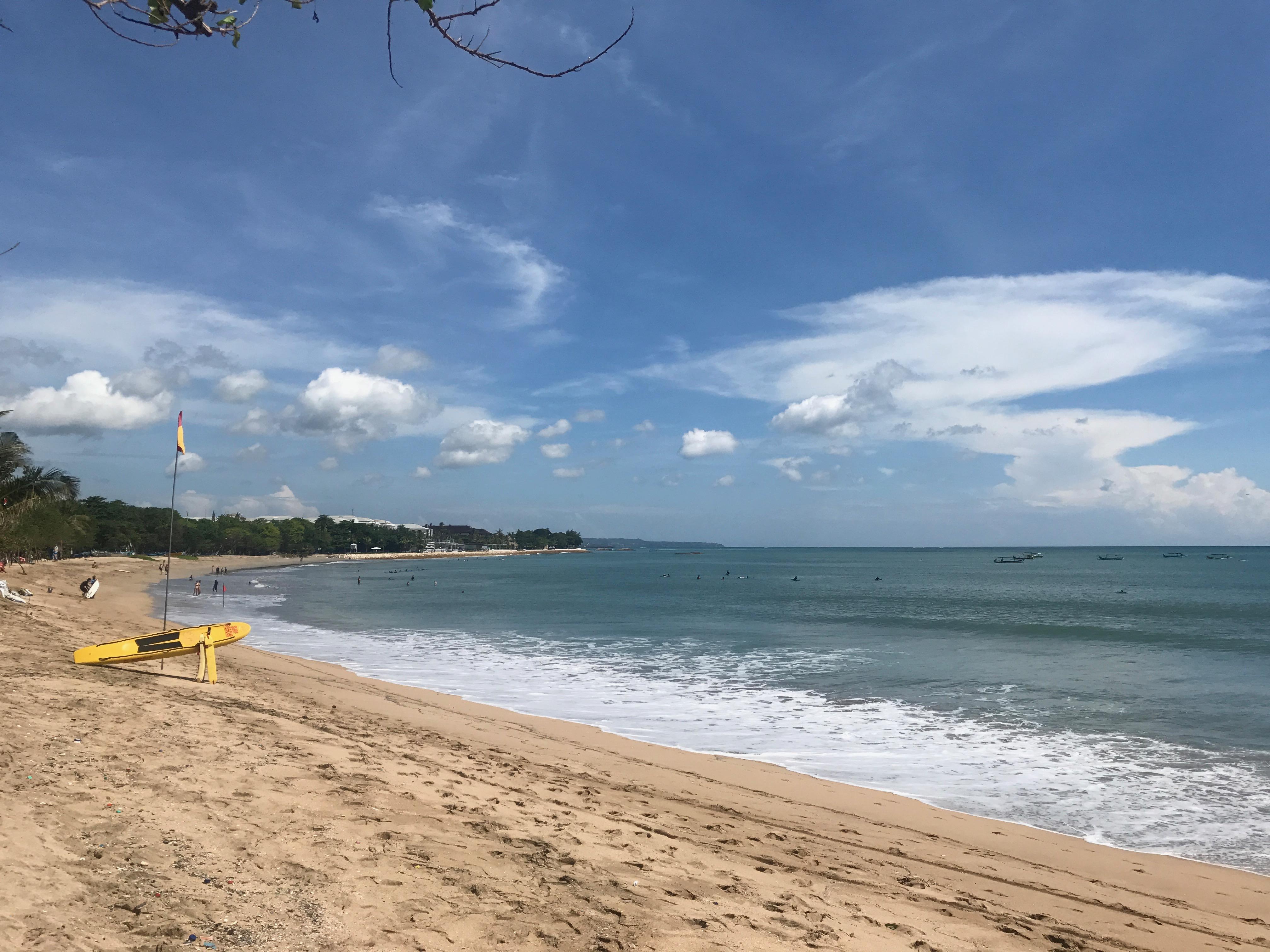Save Bali's Sea Turtle site next to Hotel