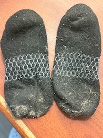 Dog hair and human hair along with rubbish from the floor before I swept on my son socks