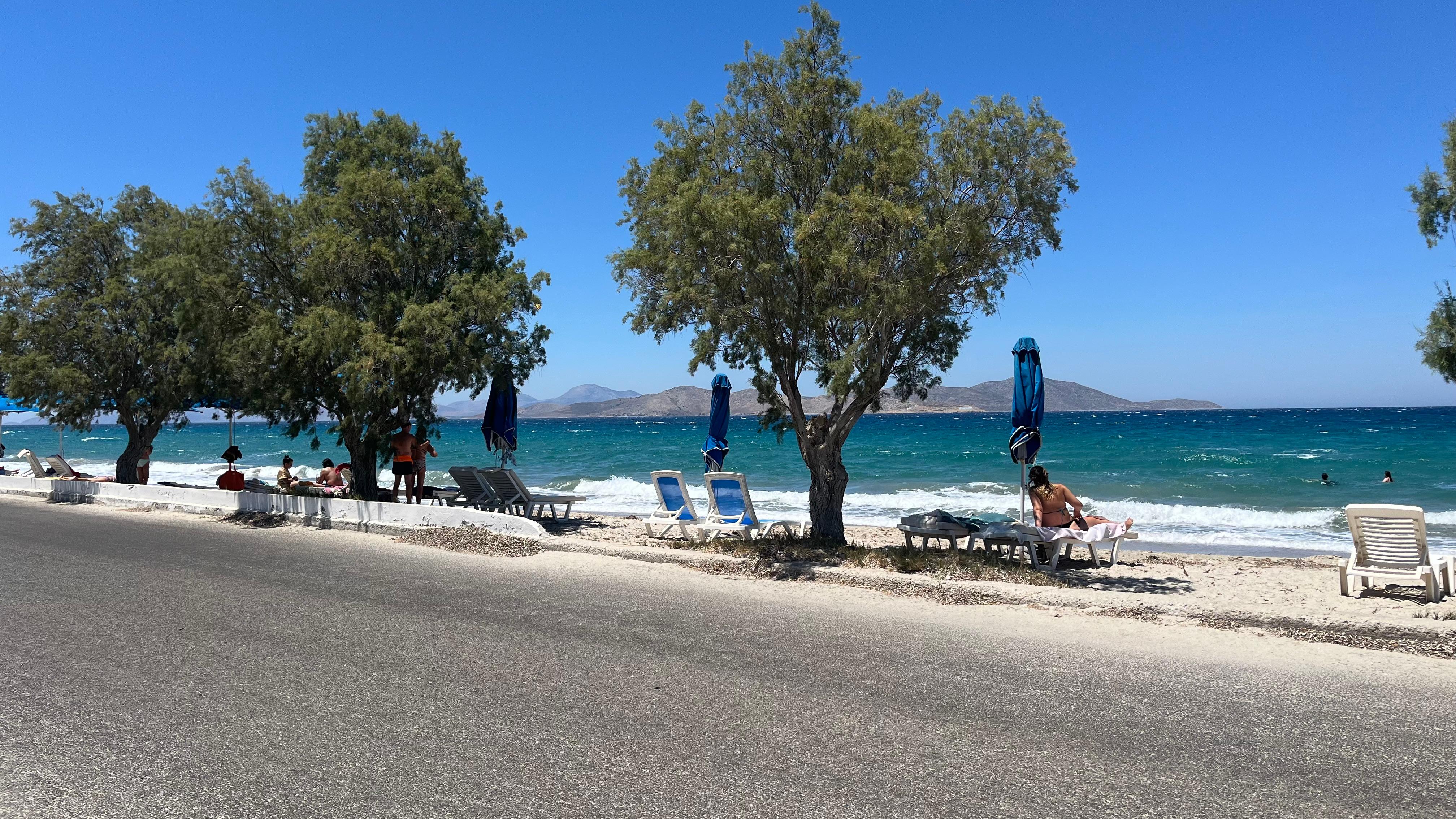 The beach, just across the road