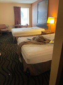 Low life’s for giving this room to human geings