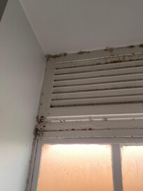 Finestra del bagno