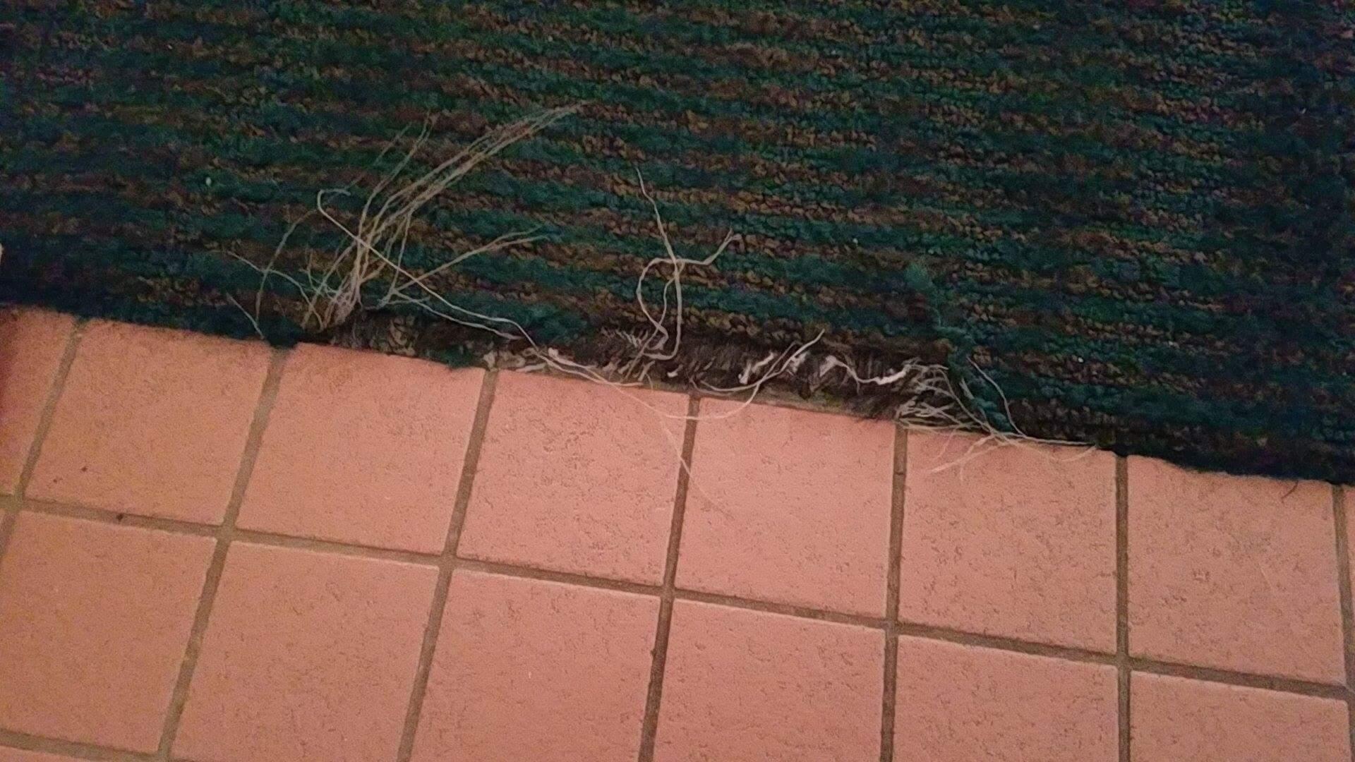 Carpet is old and looks filthy.