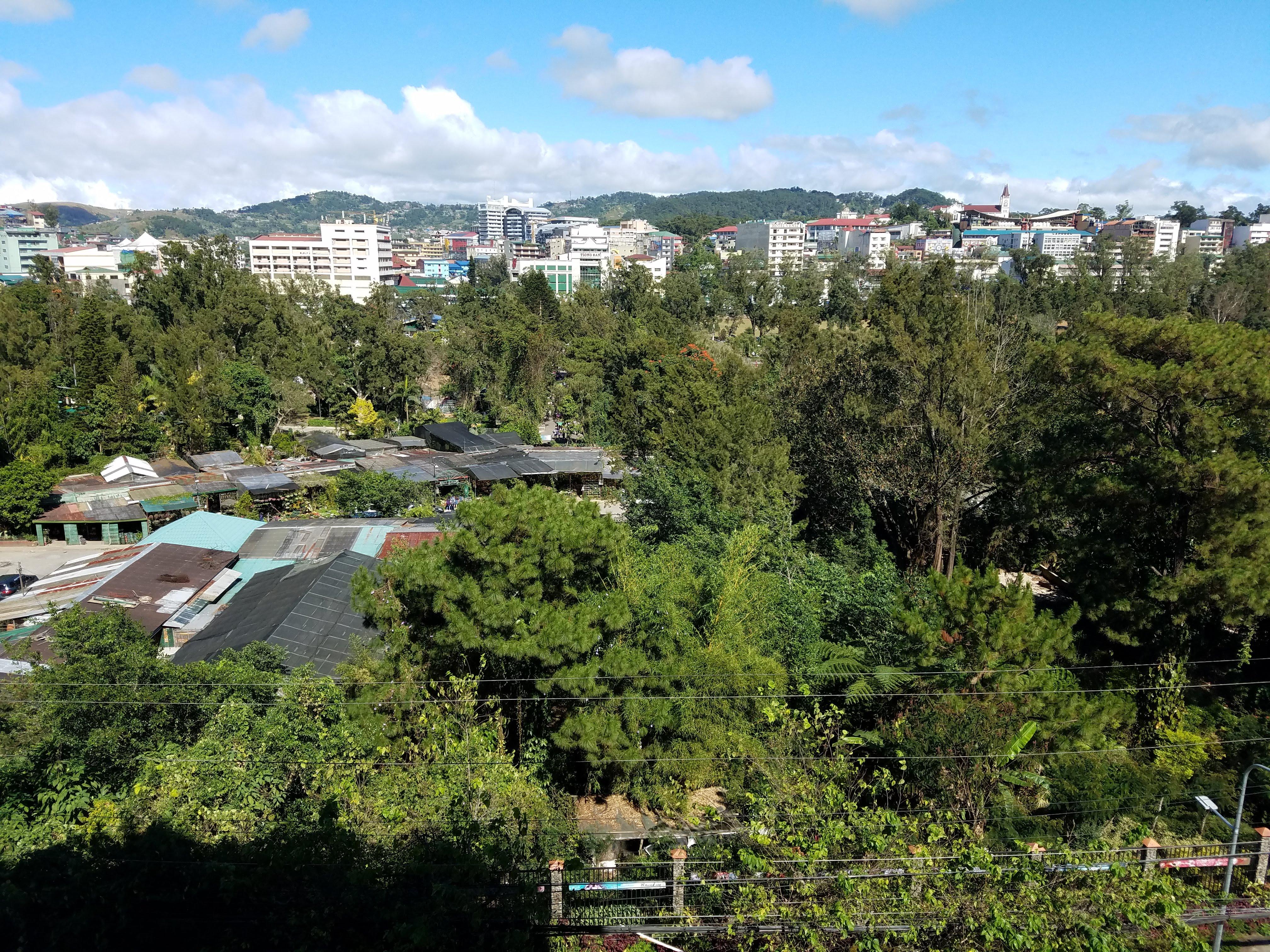 Looking over the Orchadarium toward the Hangar Market