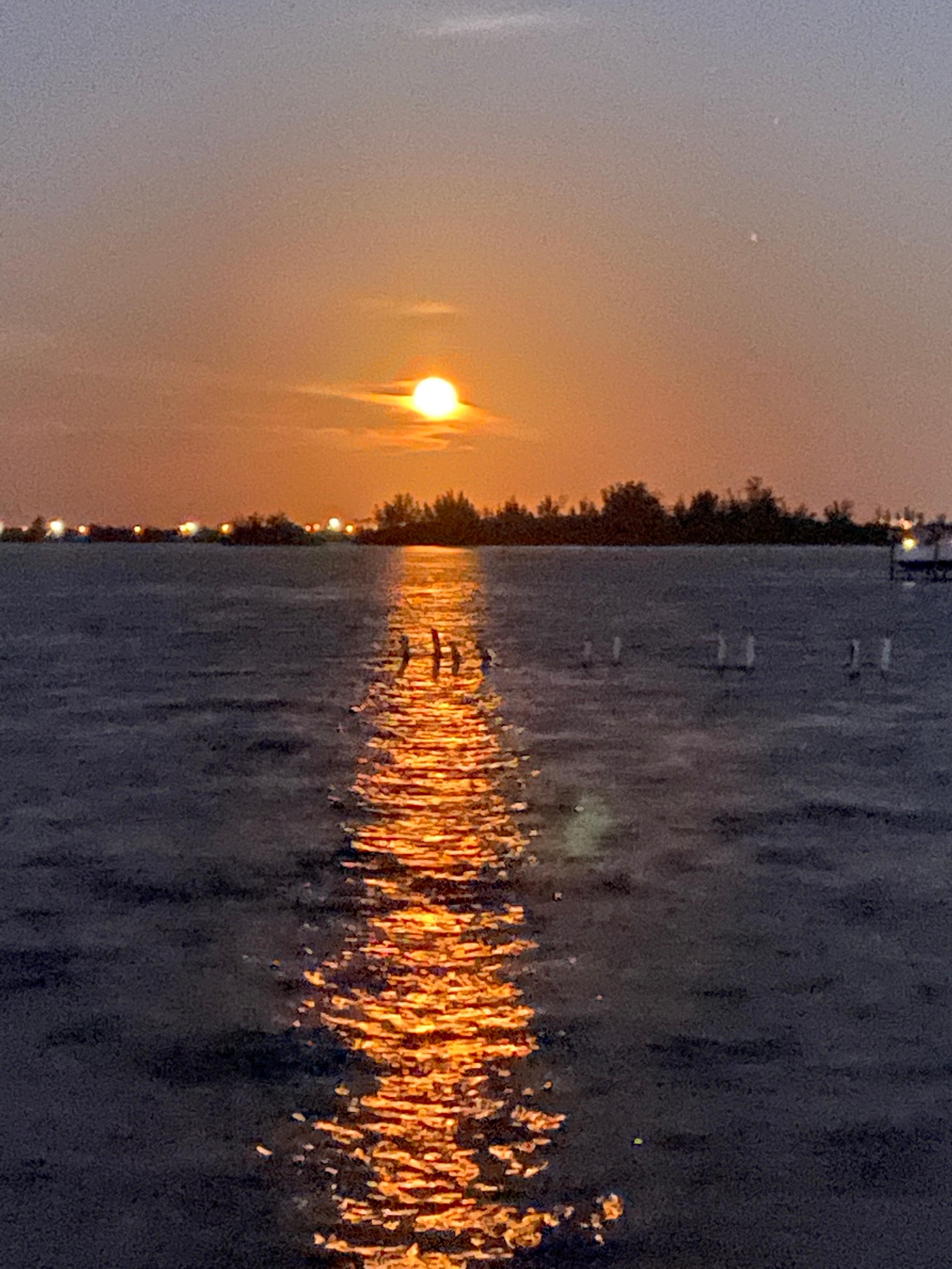 Full moon lunar eclipse over the lagoon was breathtaking. 