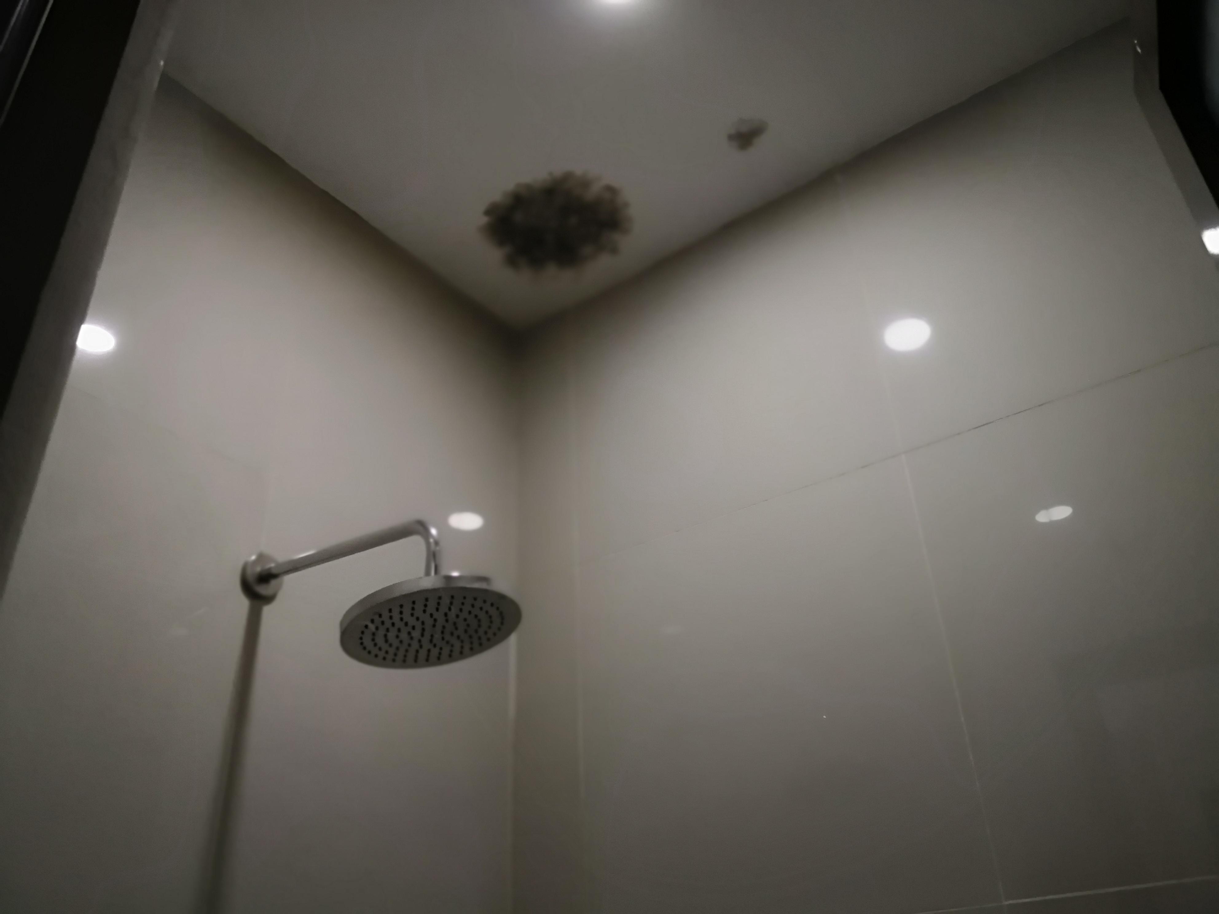 Mold on the ceiling