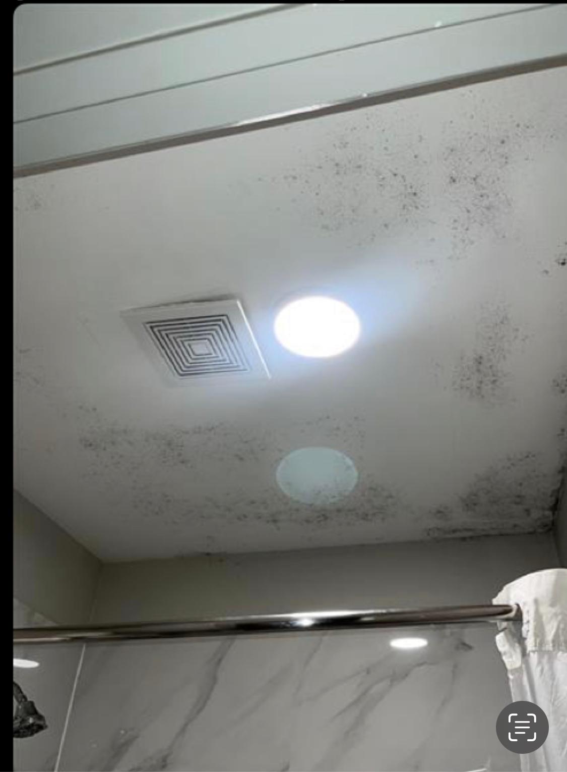 Mold on ceiling 