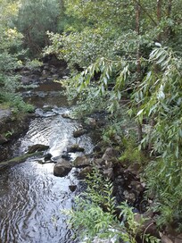Promenad i det intressanta närområdet.