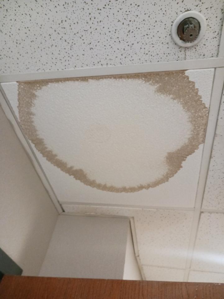 Bathroom ceiling 