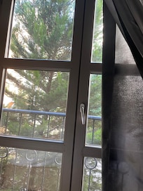 View from the bedroom. Both bedroom and living room have French balcony convenient for smokers who doesn’t want smoke inside the room.