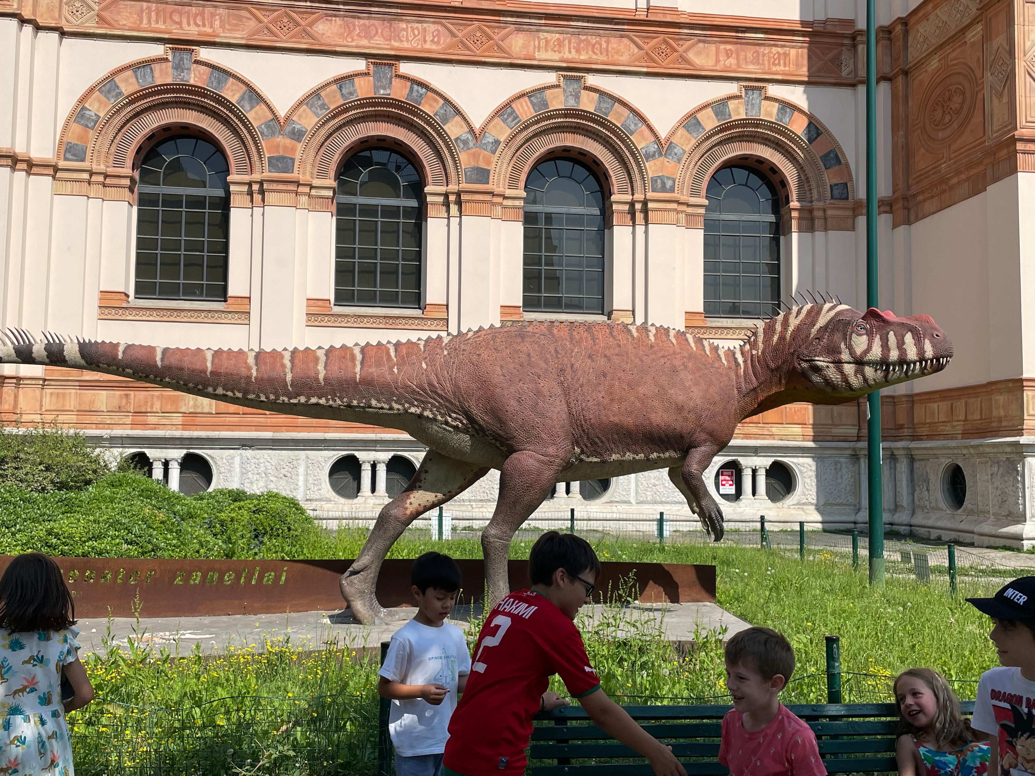 Museo de Historia Natural