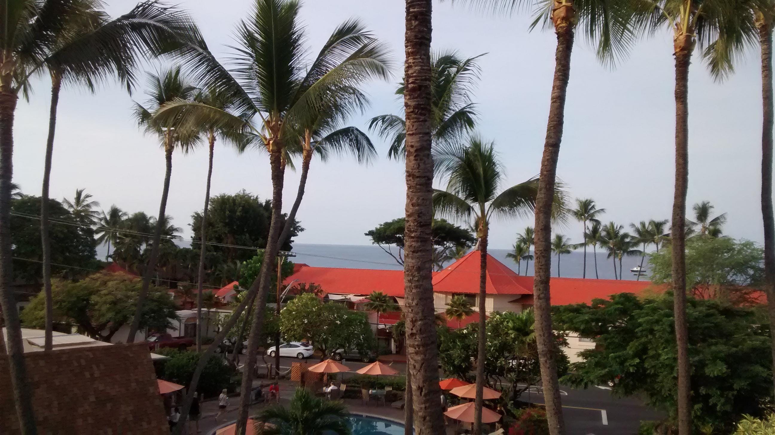 View from room.