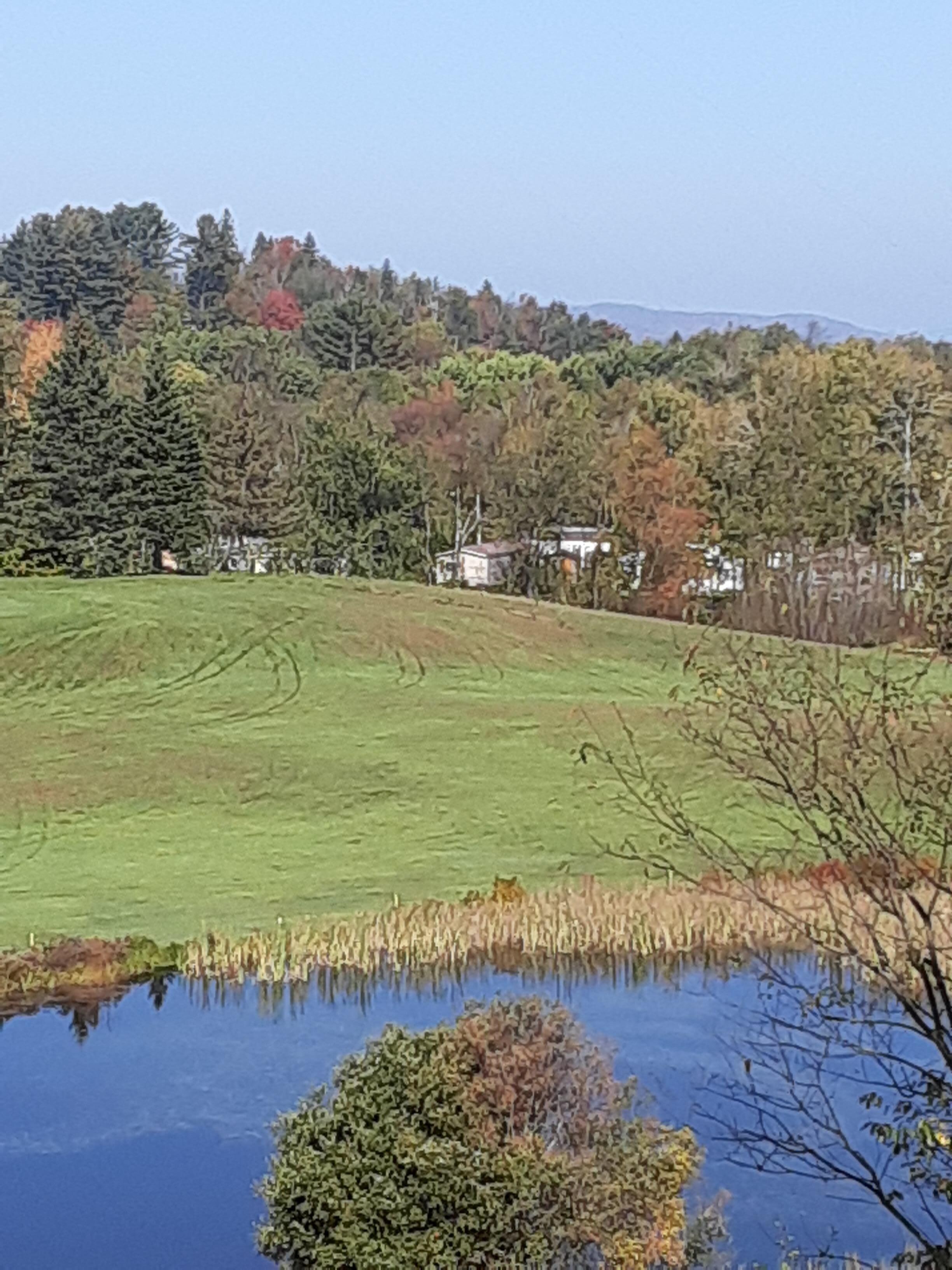 View from behind the Rooms 