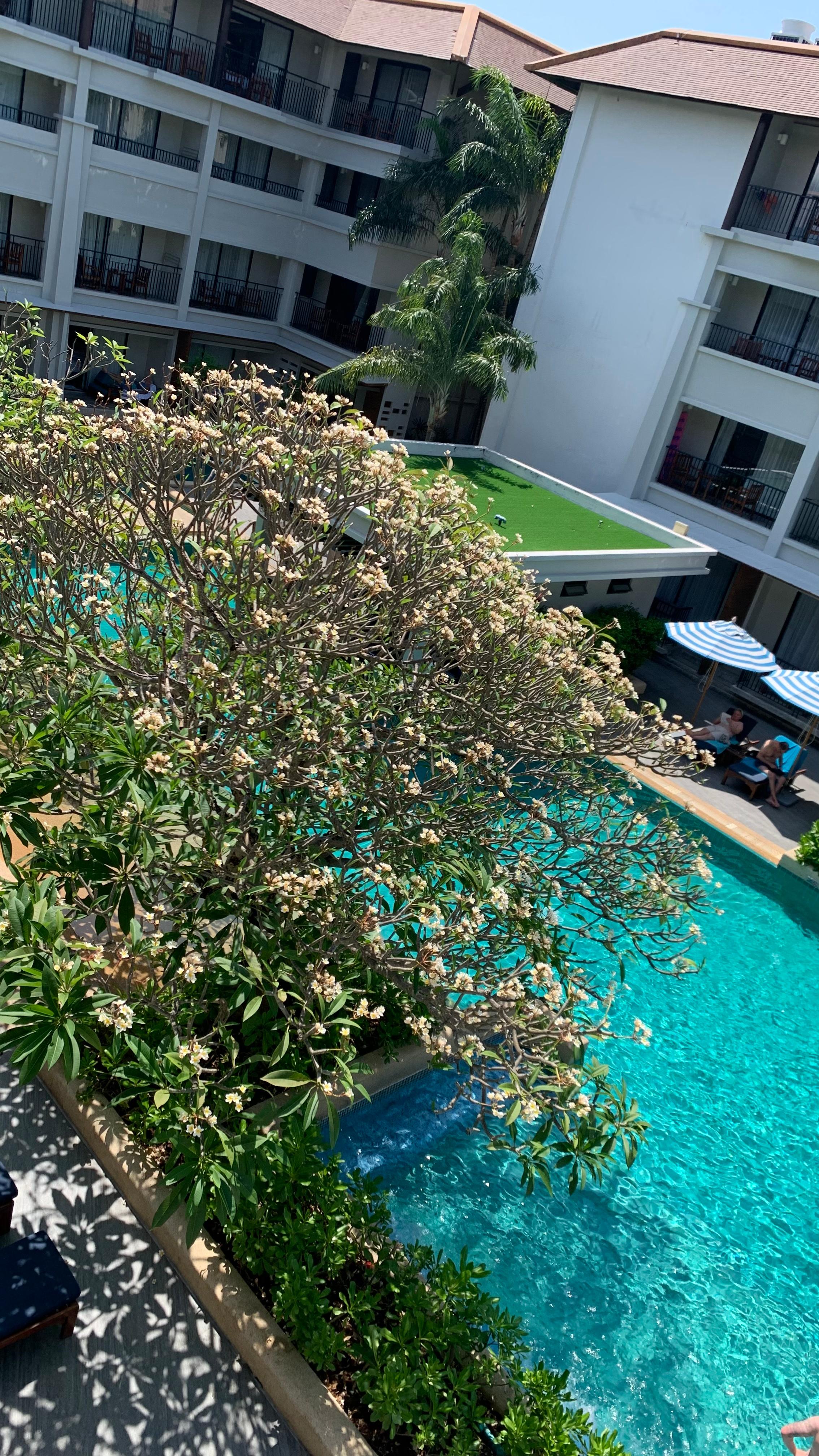 Lower room unit has direct access from room balcony to pool 