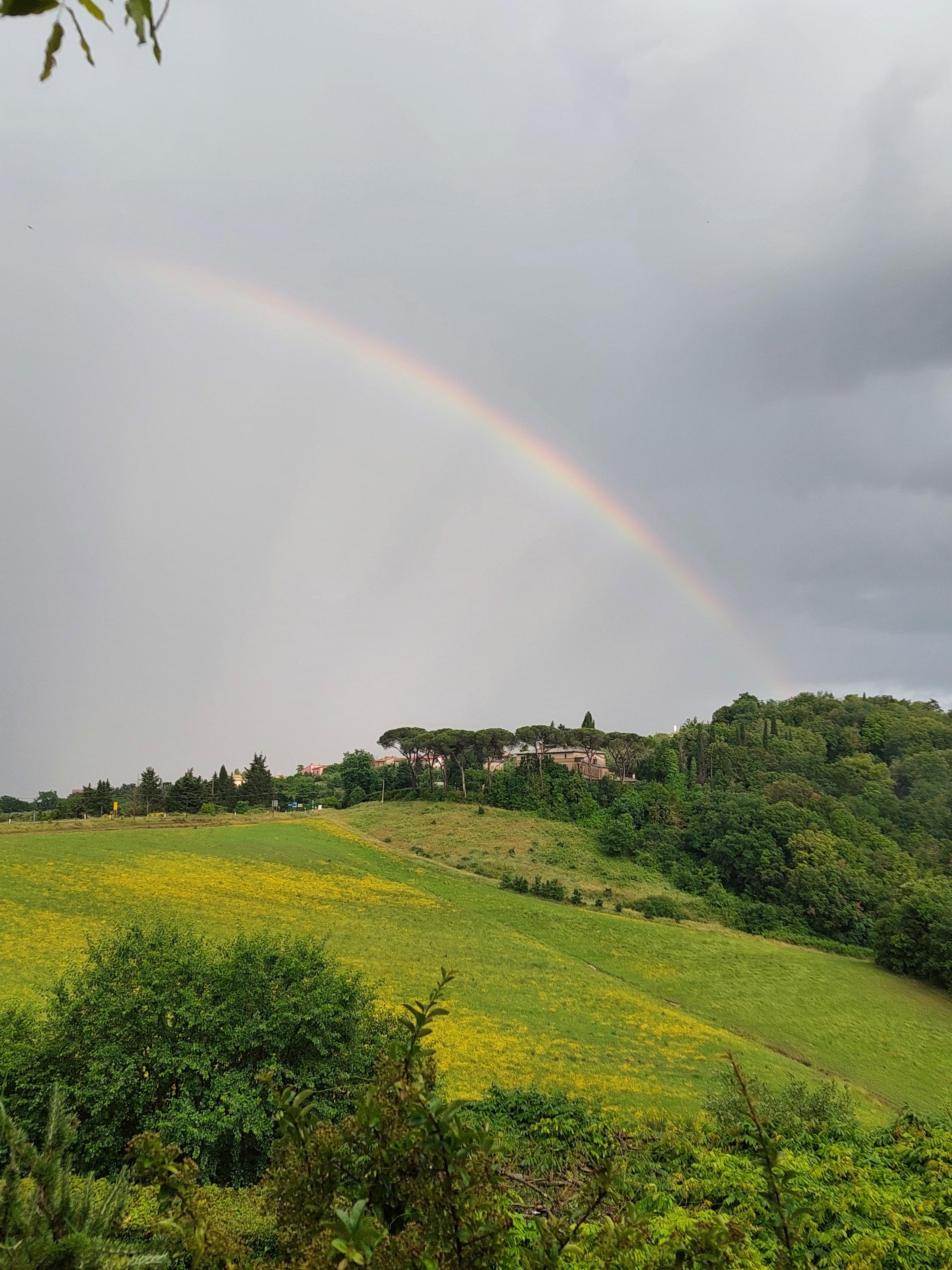 Nach einem Gewitter