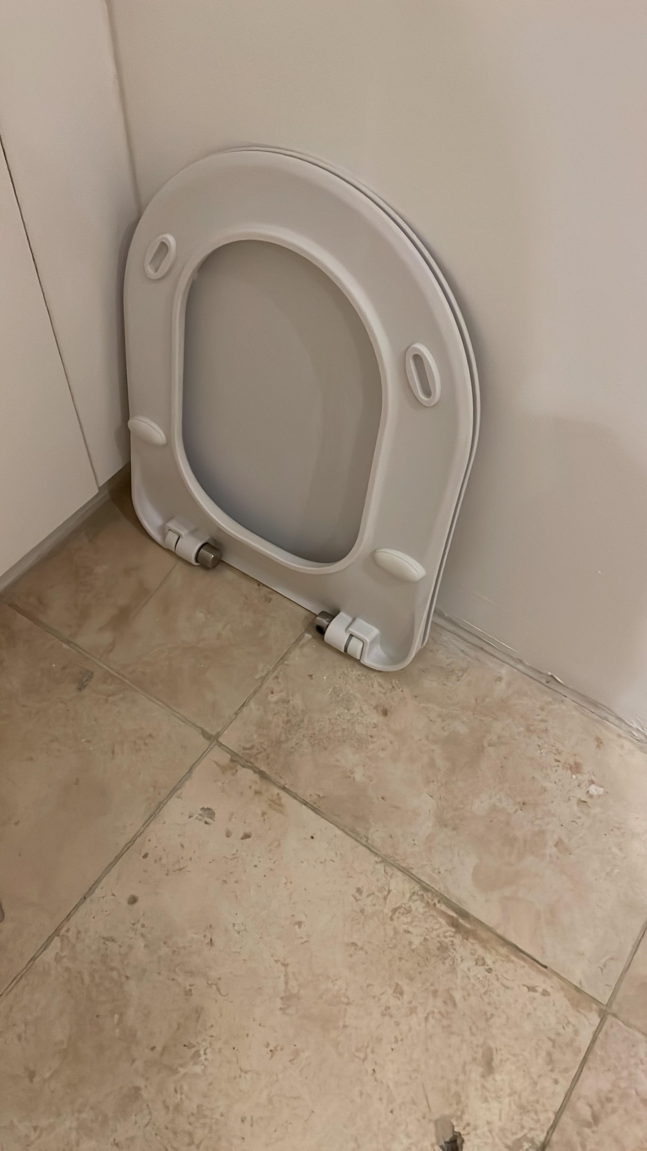 Broken toilet seat left at the corner of bathroom 