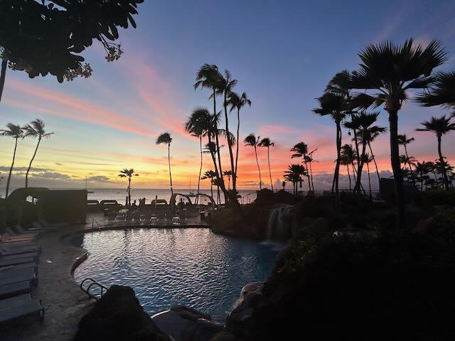 The adult pool at sunset.  