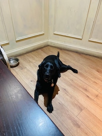 Maisy loves staying at harbour house will definitely be back x