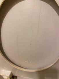 Filthy toilet